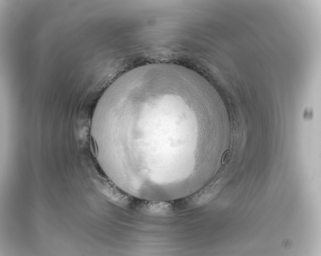 X0000093610576200711051221