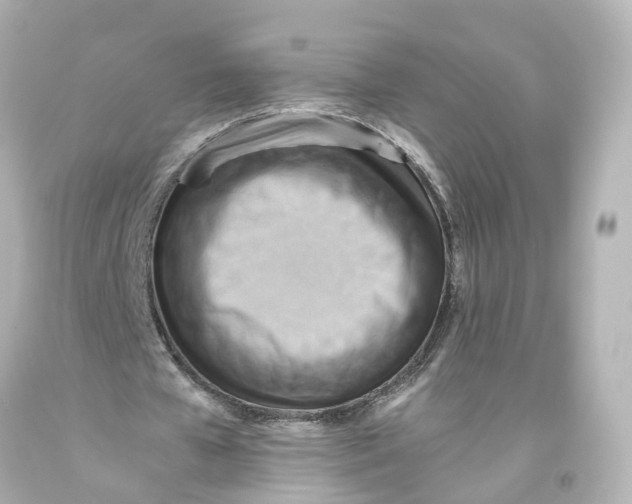 X0000093610577200711051221