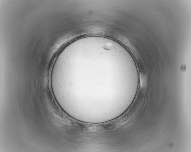 X0000093610579200711051221
