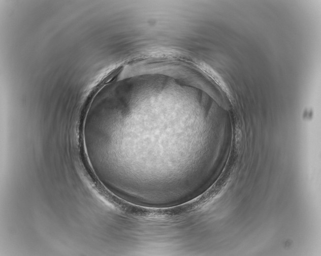 X0000093610581200711051221