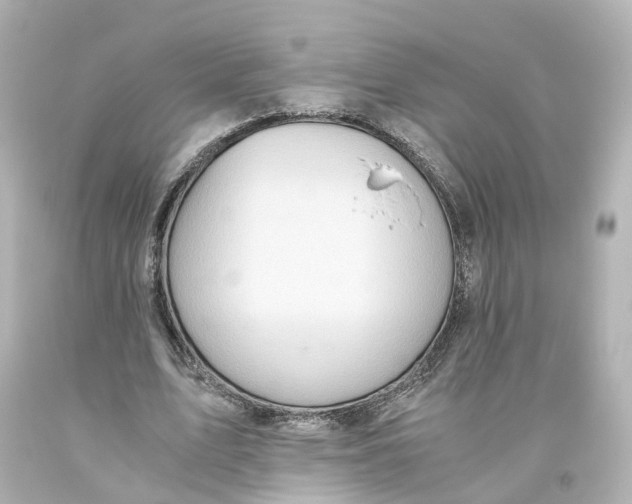 X0000093610583200711051221