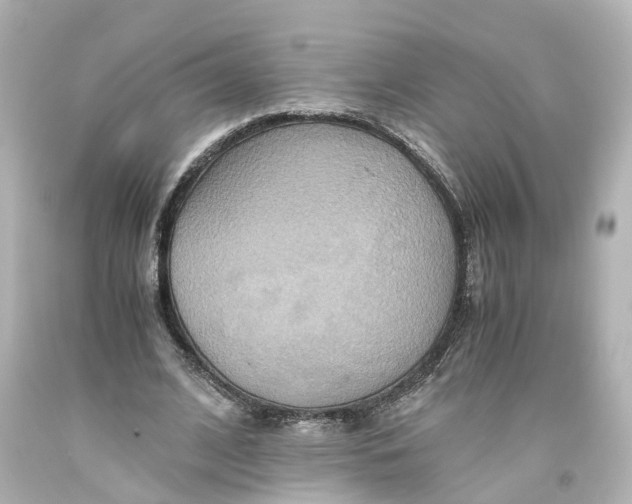 X0000093610584200711051221