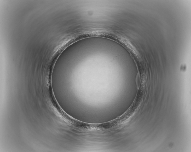 X0000093610585200711051221