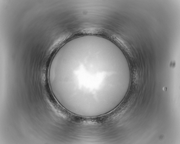 X0000093610586200711051221