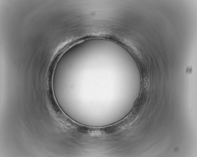 X0000093610587200711051221