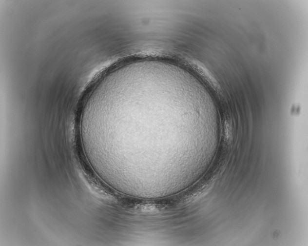 X0000093610588200711051221