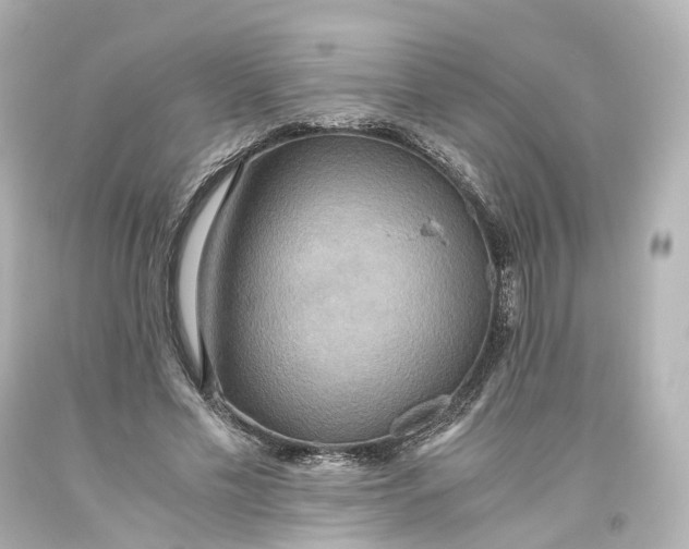 X0000093610589200711051221