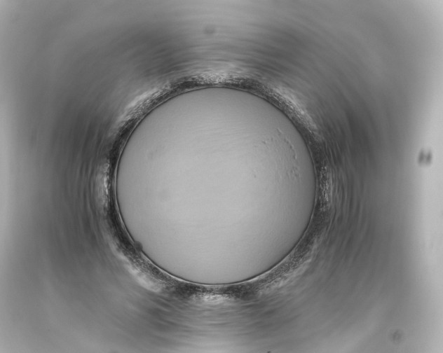 X0000093610590200711051221