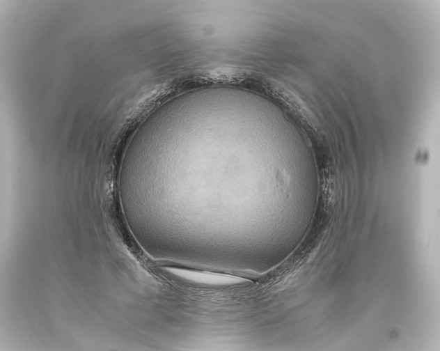 X0000093610593200711051220