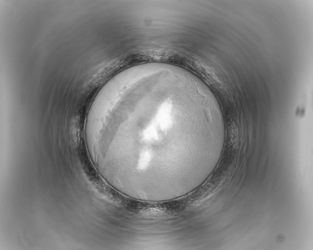X0000093610594200711051220