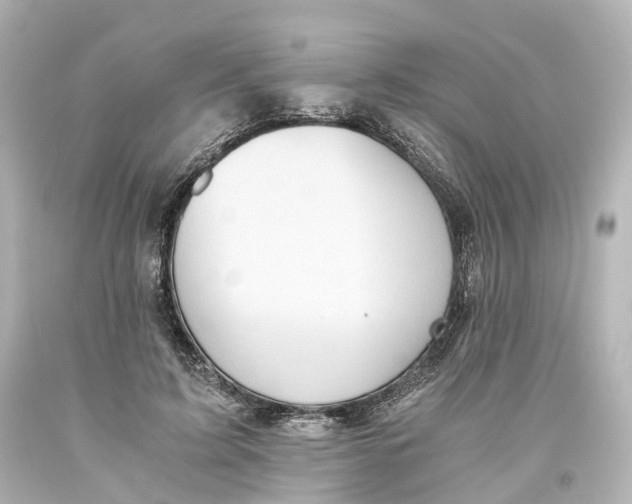 X0000093610595200711051220