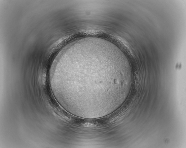 X0000093610596200711051220