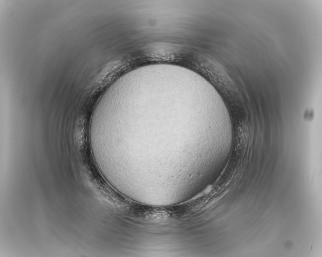X0000093610600200711051220