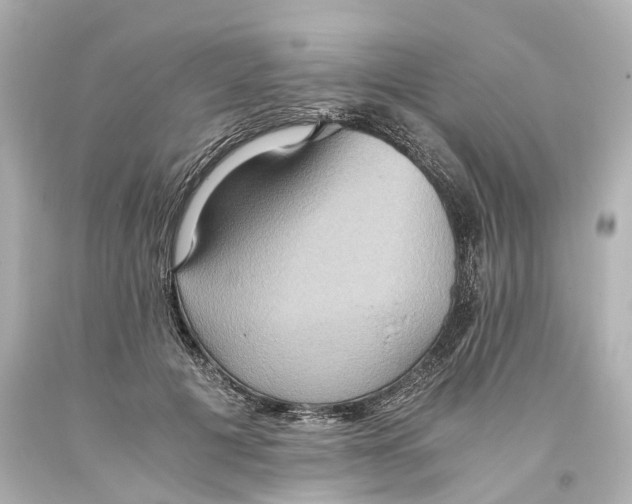 X0000093610601200711051220
