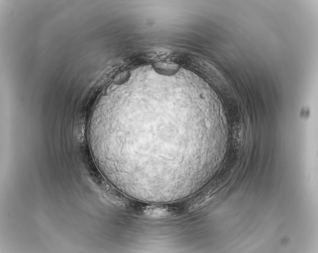 X0000093610602200711051220