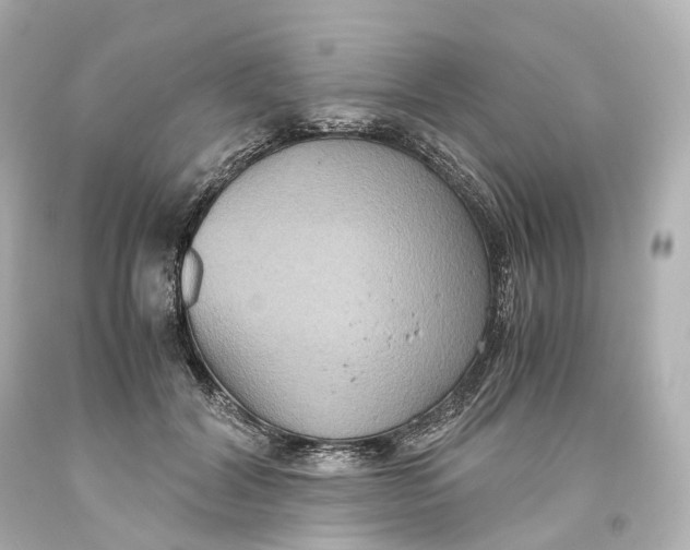 X0000093610604200711051220