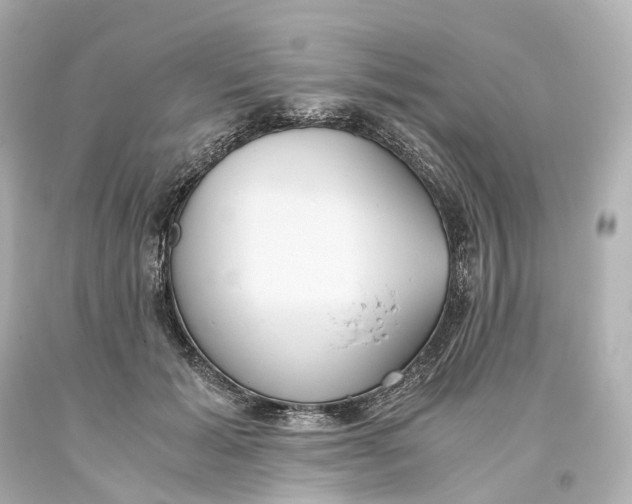 X0000093610605200711051220