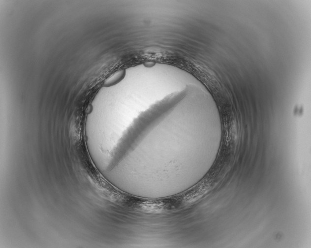 X0000093610606200711051220