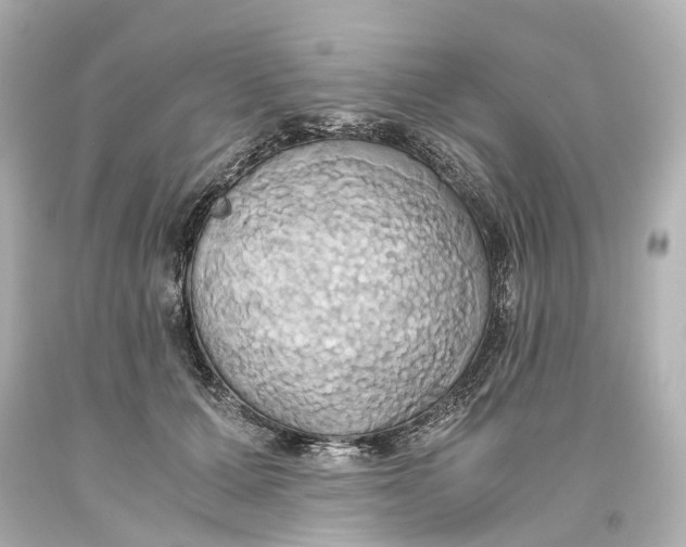 X0000093610607200711051220