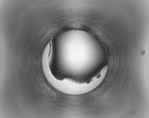 X0000093610609200711051220