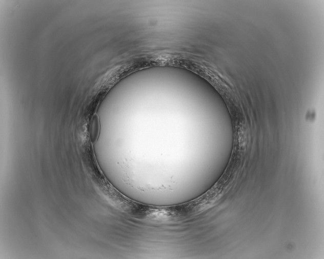 X0000093610611200711051220
