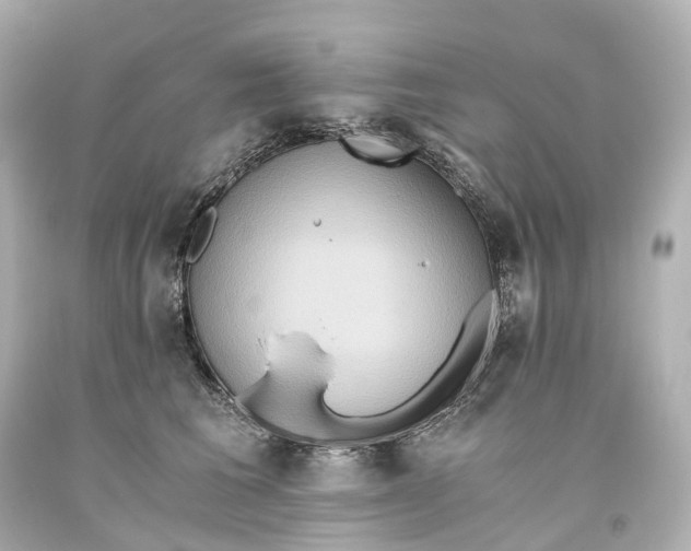 X0000093610613200711051220