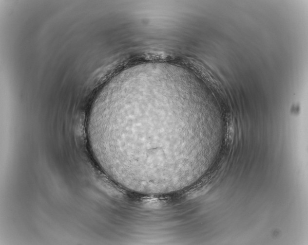 X0000093610616200711051220