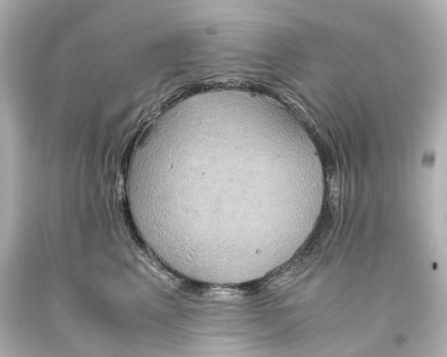 X0000093610617200711051220