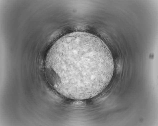 X0000093610619200711051220