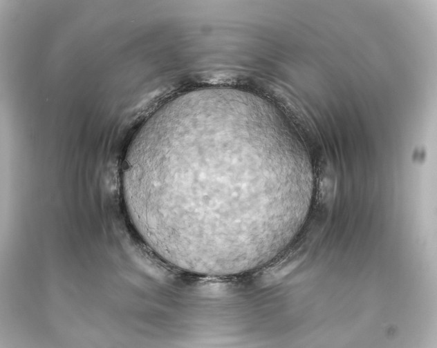 X0000093610620200711051220