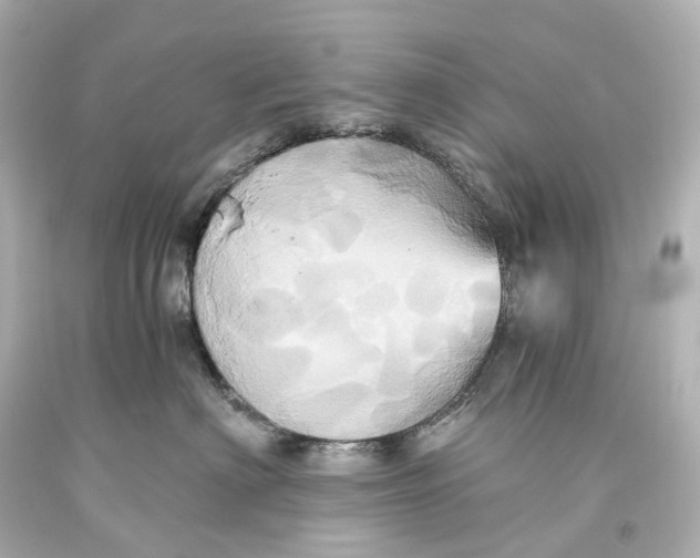X0000093610622200711051220