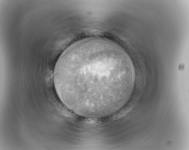 X0000093610624200711051220