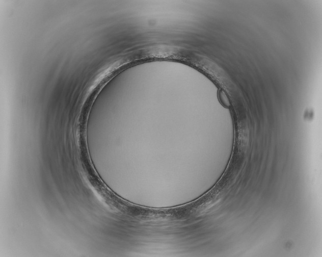X0000093610626200711051219