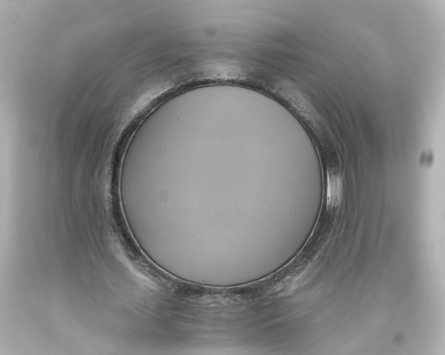 X0000093610627200711051220