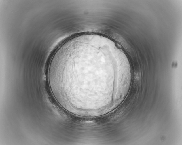 X0000093610628200711051220