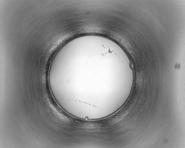 X0000093610629200711051220