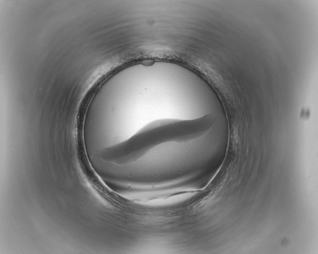 X0000093610630200711051220