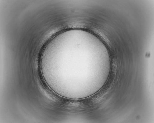 X0000093610631200711051220
