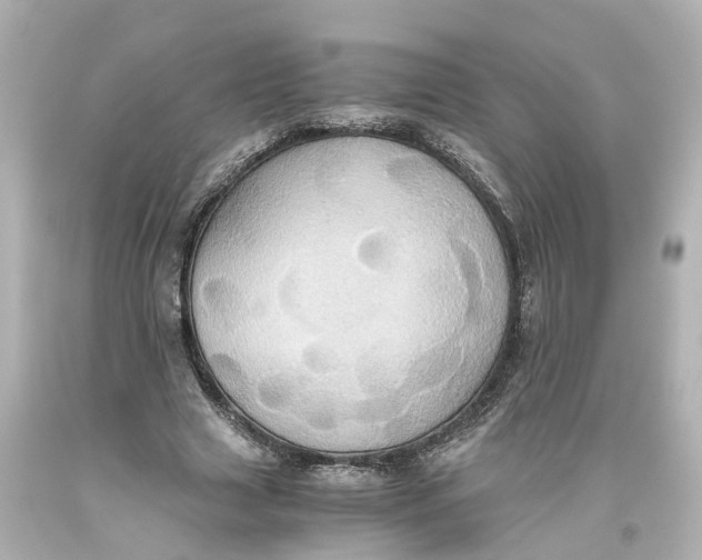 X0000093610633200711051220