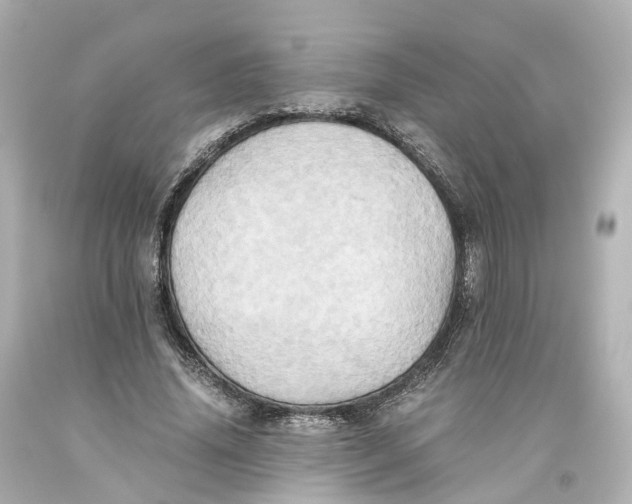 X0000093610636200711051220