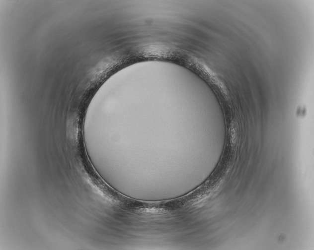 X0000093610637200711051220