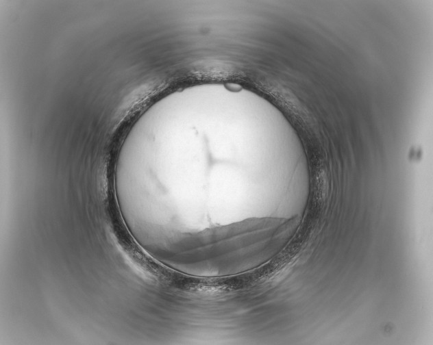 X0000093610638200711051220