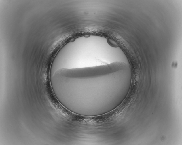 X0000093610640200711051220