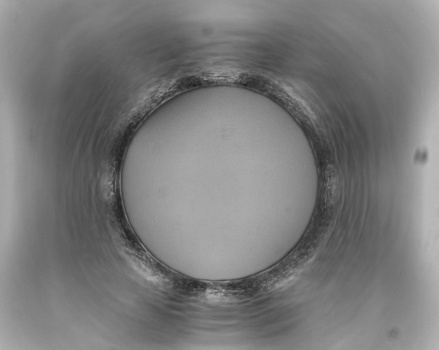 X0000093610641200711051220