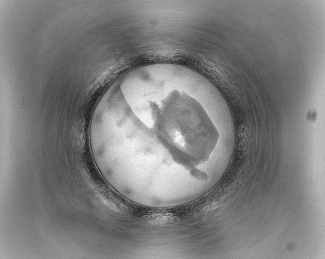 X0000093610642200711051220