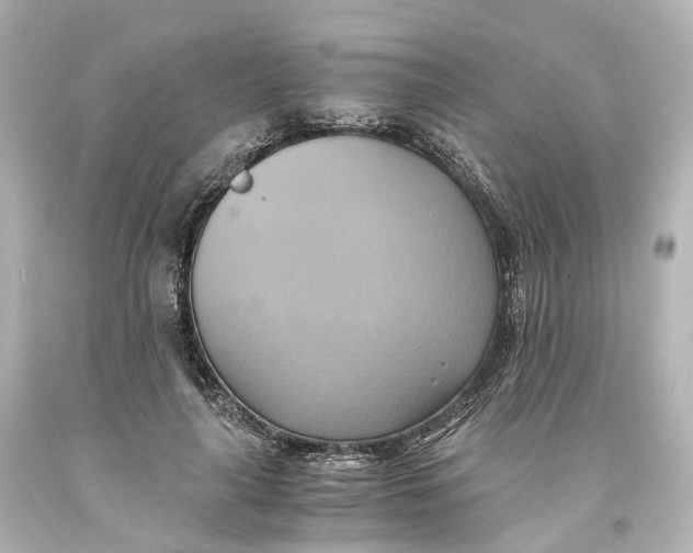 X0000093610643200711051220