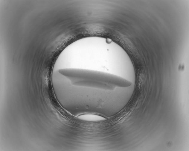 X0000093610644200711051220
