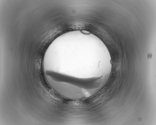 X0000093610652200711051220
