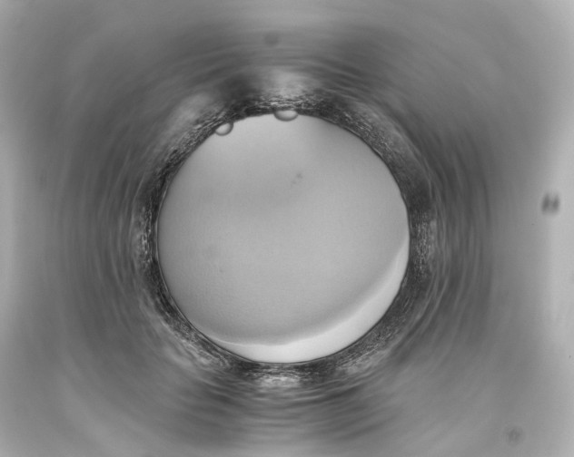 X0000093610653200711051220