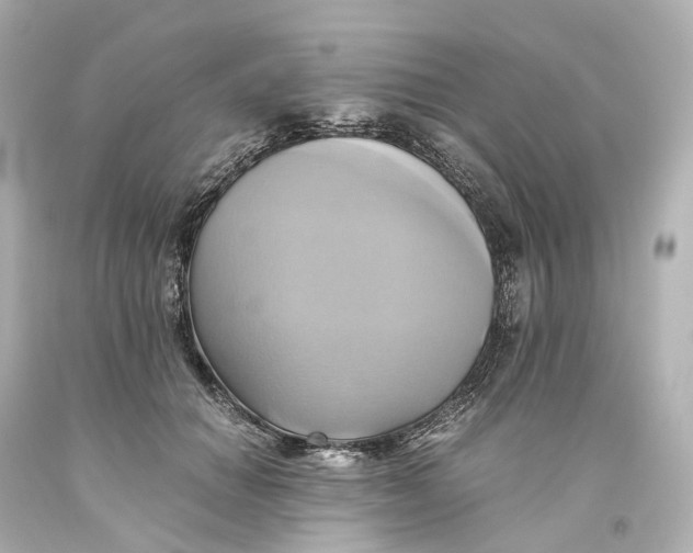 X0000093610654200711051220